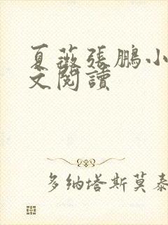 夏薇张鹏小说全文阅读