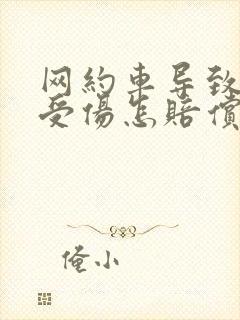 网约车导致乘客受伤怎赔偿