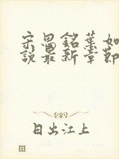 宋思铭叶如云小说最新章节免费阅读