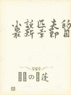 小说匹夫的逆袭最新章节目录