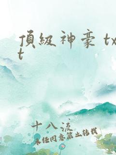 顶级神豪 txt