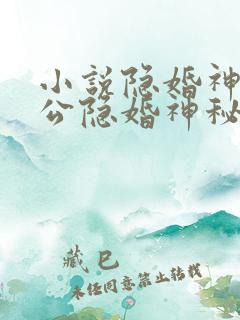 小说隐婚神秘老公隐婚神秘老公