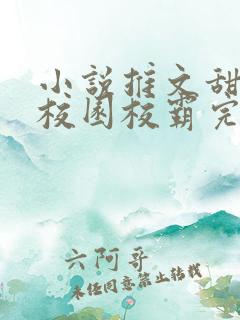 小说推文甜宠文校园校霸完结文