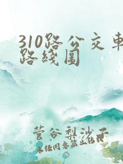 310路公交车路线图
