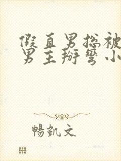 假直男总被言情男主掰弯小说