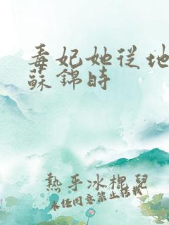 毒妃她从地狱来苏锦时