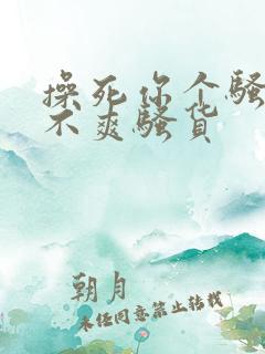操死你个骚货爽不爽骚货