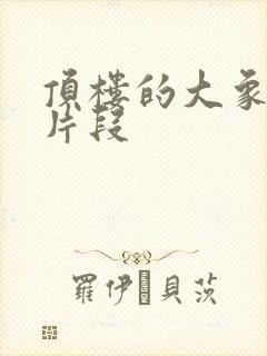 顶楼的大象车震片段