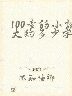 100章的小说大约多少字