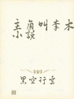 主角叫李木子的小说