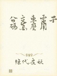 公交车电子乘车码怎么用