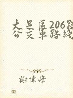大足区206路公交车路线时间表