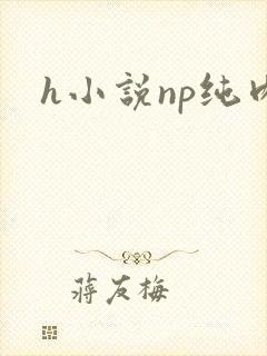 h小说np纯肉