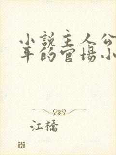 小说主人公叫周平的官场小说