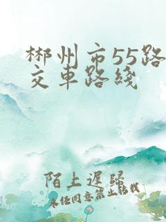 郴州市55路公交车路线