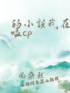 的小说我在古代嗑cp