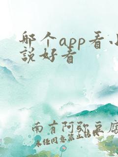 哪个app看小说好看