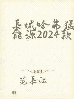长城哈弗猛龙新能源2024款