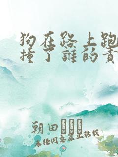 狗在路上跑被车撞了谁的责任 狗在路上跑被车撞了谁的责任