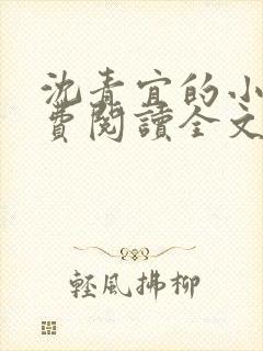 沈青宜的小说免费阅读全文