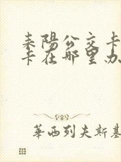 耒阳公交卡学生卡在哪里办