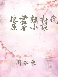 狼君想对我负责原著小说
