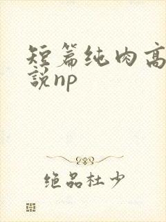 短篇纯肉高h小说np 短篇纯肉高h小说np