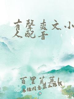 有声爽文小说双人配音