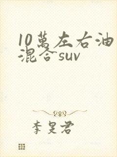 10万左右油电混合suv