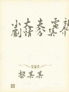 小大夫 电视剧剧情分集介绍