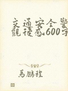 交通安全警示片观后感600字