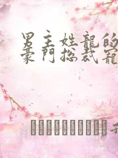 男主姓龙的小说豪门总裁宠文