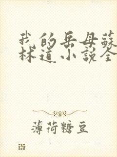 我的岳母苏沛真林道小说全文