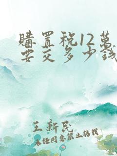 购置税12万车要交多少钱?