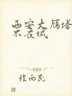 西安大雁塔大唐不夜城
