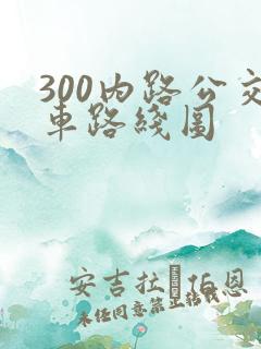 300内路公交车路线图