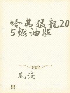 哈弗猛龙2025燃油版