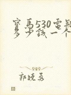 宝马530电瓶多少钱一个