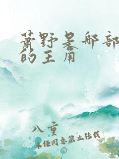 萧野是哪部小说的主角