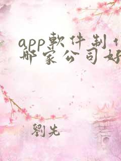 app软件制作哪家公司好