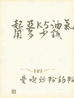 起亚k5油气两用多少钱