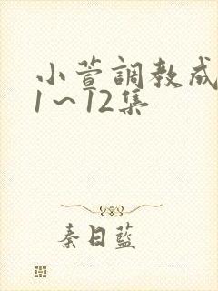 小萱调教成尿奴1～12集