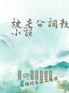 被老公调教女奴小说