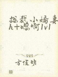 总裁小娇妻h+h+嗯啊1v1