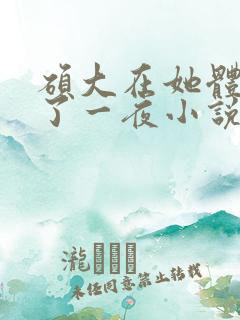 硕大在她体内含了一夜小说