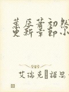叶辰萧初然最新更新章节小说下载