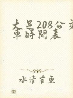 大足208公交车时间表