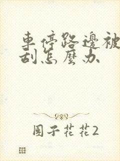 车停路边被人为刮怎么办