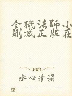 全职法师小说无删减正版在线阅读