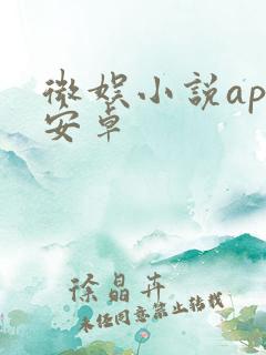 微娱小说app安卓